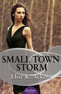 Small Town Storm by Elise K. Ackers