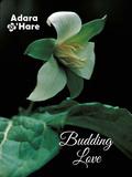 Budding Love (Love's Landscapes) by Adara O’Hare