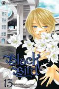 フラワーコミックス [Black Bird, Vol. 13] (Black Bird #13) by Kanoko Sakurakoji