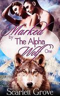 Marked By The Alpha Wolf Part 1 by Scarlett Grove