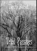 Veiled Passages by Terri Reid