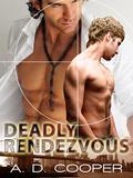Deadly Rendezvous (Danger Games #3) by A.D. Cooper