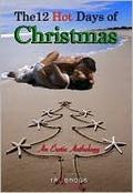 The 12 Hot Days of Christmas by Deborah Hyde