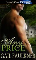Any Price by Gail Faulkner