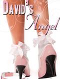 David's Angel by Stephanie Beck