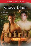 Guardian Elf (Guardian City #1) by Grace Lynn