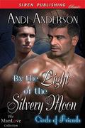 By the Light of the Silvery Moon (Circle of Friends #1) by Andi Anderson