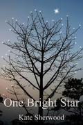 One Bright Star by Kate Sherwood