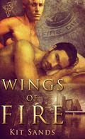 Wings of Fire by Kit Sands