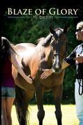 Blaze of Glory (Blaze of Glory #1) by M. Garzon