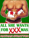 All She Wants for XXX-Mas (All She Wants #1) by Nathan Stratton