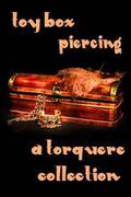 Toy Box: Piercing (Toy Box) by H.B. Kurtzwilde