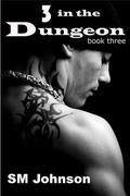 Three in the Dungeon (Dungeon #3) by S.M. Johnson
