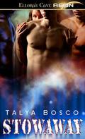 Stowaway by Talya Bosco