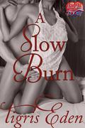 A Slow Burn (Stories from Beauville .5) by Red Hot and BOOM!