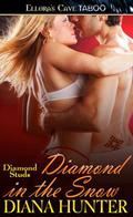 Diamond in the Snow by Diana Hunter