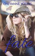 A Little Like Fate (Robin and Tyler Series #1) by Cheyanne Young