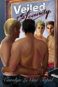 Veiled Security by Carolyn Levine Topol