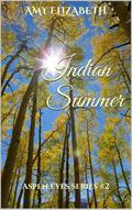 Indian Summer (Aspen Eyes #2) by Amy Elizabeth