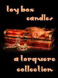 Toy Box: Candles (Hammer #9.4) by Elle Parker