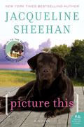 Picture This (Rocky Pelligrino #2) by Jacqueline Sheehan