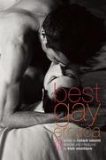Best Gay Erotica 2010 (Best Gay Erotica) by Jimmy Hamada