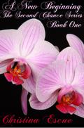 A New Beginning {The Second Chance Series Book 1) by Christina Escue