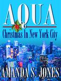 Aqua - Christmas in New York City by Amanda S. Jones
