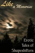 Like a Moonrise: Erotic Tales of Shapeshifters by Aoife Bright