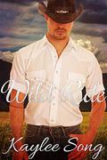 Wild Ride: BBW Western Romance (Under Open Skies #2) by Gracie Madison