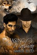 Chasing the Mailman (Stone Trail #1) by Amber Redd