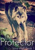 The Protector by Bridget Essex