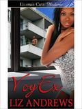 VoyEx by Liz Andrews