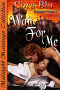 Wait For Me (Blakemore #2) by Cora Blu