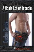 A Hoale Lot of Trouble (Hoale Construction Mystery #1) by Declan Sands