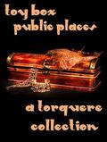 Toy Box: Public Places (Toy Box) by Jay Lygon