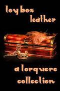 Toy Box: Leather (Toy Box) by Megan Rose