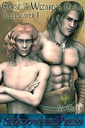 Curse of the Wizard's Guild (Spellslayer #1) by V. Greene