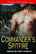Commander's Spitfire by Bellann Summer