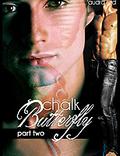 Chalk Butterfly: "Metamorphosis" (Chalk Butterfly #2) by Audra Red