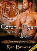 Catch a Tiger by the Tail (The Panthera Agency #2) by Rae Brewer