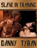 Slave in Training (L'Esclave #1) by Danny Tyran