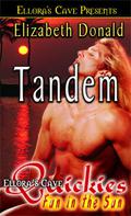 Tandem (Fun in the Sun) by Elizabeth Donald