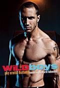 Wild Boys: Gay Erotic Fiction by Davem Verne