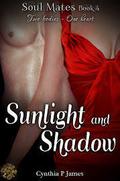 Sunlight And Shadow (Soul Mates #4) by Cynthia P. James