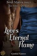Love's Eternal Flame (Soul Mates #5) by Cynthia P. James