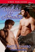 Opposite Attraction (Feline Allure #3) by Amy E. Lambo