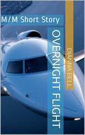 Overnight Flight by Dianna Bell