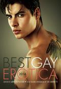 Best Gay Erotica 2014 (Best Gay Erotica) by K. Lynn