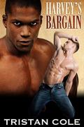 Harvey's Bargain by Tristan Cole